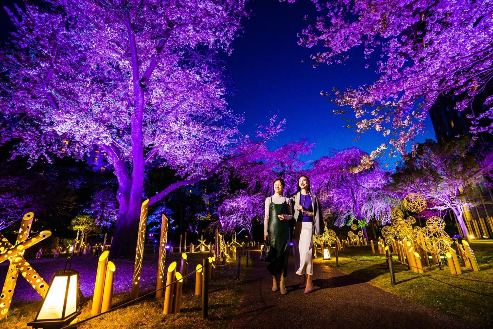 Grand Prince Hotel Shin Takanawa Tokyo Exterior photo Illumination of the park